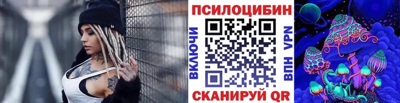 mega tor  Кириши  Псилоцибиновые грибы ЛСД  купить закладку 
